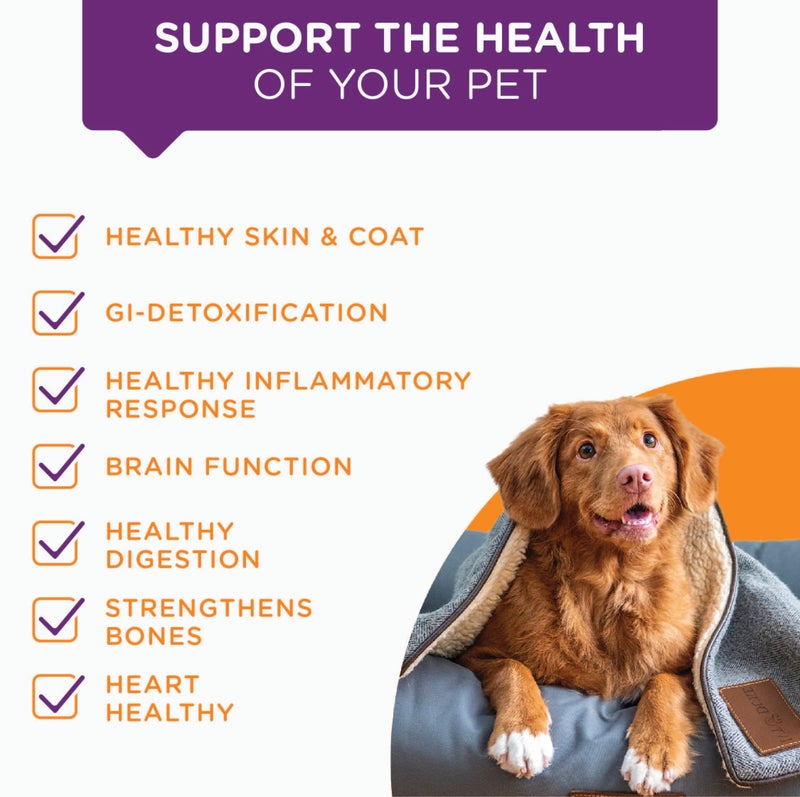 CurcuminProÂ® UltaPetâ„¢ Hip & Joint Dog Food Topper, Natures Joint & Hip Inflammation Support with Curcumin, Supports Healthy Cognitive & Immune Functions. (60 Servings) - Image 3